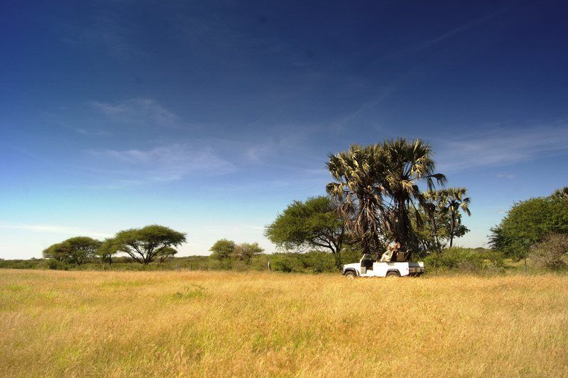 Hotel Dornhuegel Guestfarm Grootfontein Zewnętrze zdjęcie