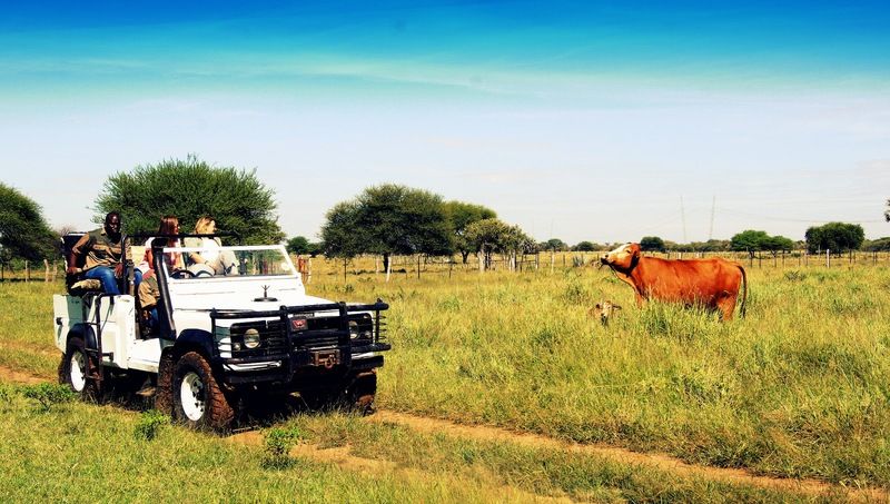 Hotel Dornhuegel Guestfarm Grootfontein Zewnętrze zdjęcie