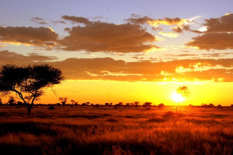 Hotel Dornhuegel Guestfarm Grootfontein Zewnętrze zdjęcie